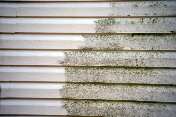 Best Shed Removal  in Apollo Beach, FL