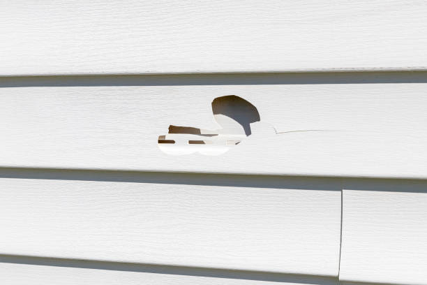 Moving and Downsizing Cleanouts in Apollo Beach, FL